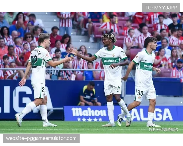 深度报道：从黑马到降级区，埃尔切赛季轨迹分析