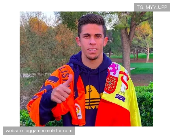 瓦伦西亚敲定马里国脚阿里乌·迪恩格自由转会